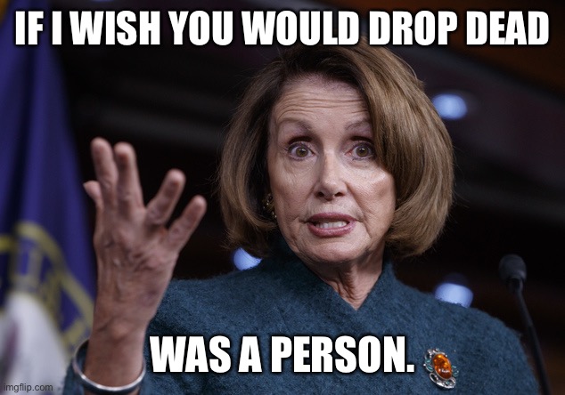Good old Nancy Pelosi | IF I WISH YOU WOULD DROP DEAD; WAS A PERSON. | image tagged in good old nancy pelosi | made w/ Imgflip meme maker