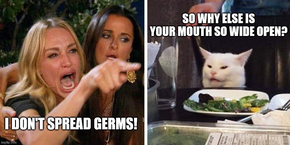 Another smudge the cat | SO WHY ELSE IS YOUR MOUTH SO WIDE OPEN? I DON'T SPREAD GERMS! | image tagged in smudge the cat | made w/ Imgflip meme maker