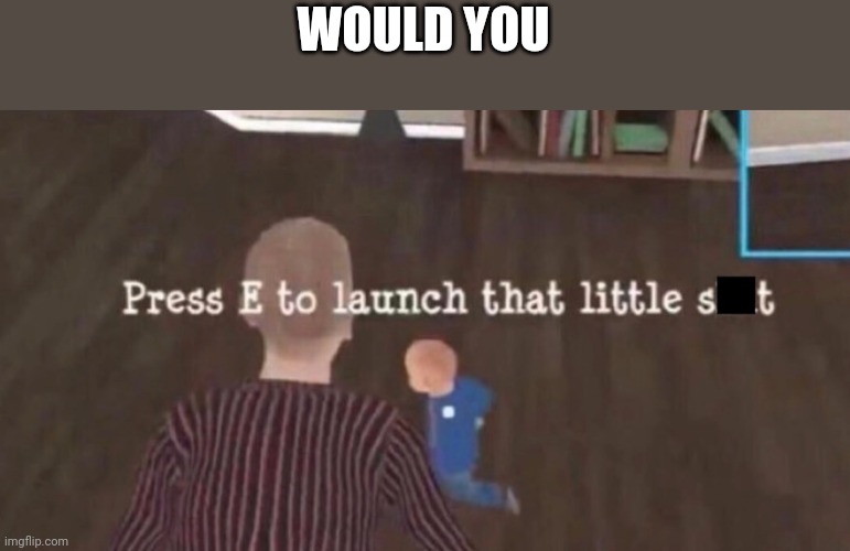Press E to launch that little shit | WOULD YOU | image tagged in press e to launch that little shit | made w/ Imgflip meme maker