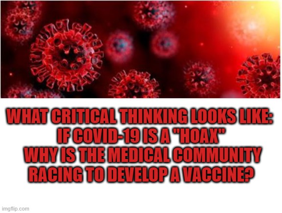 What critical thinking looks like | WHAT CRITICAL THINKING LOOKS LIKE:  

IF COVID-19 IS A "HOAX" 
WHY IS THE MEDICAL COMMUNITY RACING TO DEVELOP A VACCINE? | image tagged in covid-19,critical thinking,fauci,donald trump | made w/ Imgflip meme maker