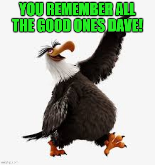 angry birds eagle | YOU REMEMBER ALL THE GOOD ONES DAVE! | image tagged in angry birds eagle | made w/ Imgflip meme maker