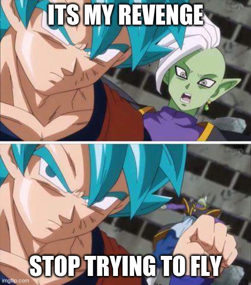 Goku hits zamasu | ITS MY REVENGE; STOP TRYING TO FLY | image tagged in goku hits zamasu | made w/ Imgflip meme maker