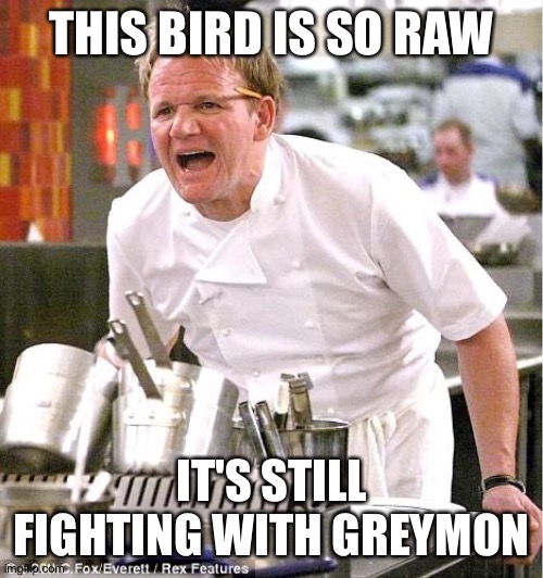 Chef Gordon Ramsay Meme | THIS BIRD IS SO RAW; IT'S STILL FIGHTING WITH GREYMON | image tagged in memes,chef gordon ramsay | made w/ Imgflip meme maker