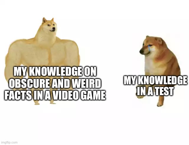 doge | MY KNOWLEDGE IN A TEST; MY KNOWLEDGE ON OBSCURE AND WEIRD FACTS IN A VIDEO GAME | image tagged in buff doge vs cheems | made w/ Imgflip meme maker