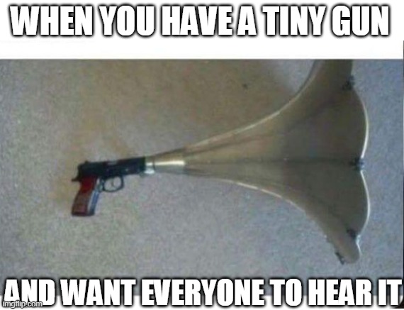 DONT FORGET YOUR EAR MUFFS | WHEN YOU HAVE A TINY GUN; AND WANT EVERYONE TO HEAR IT | image tagged in guns,firearms,loud | made w/ Imgflip meme maker