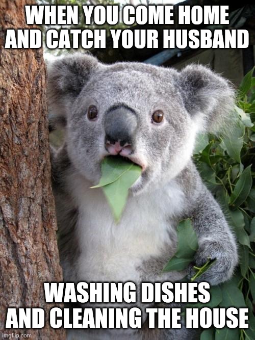 Surprised wife | WHEN YOU COME HOME AND CATCH YOUR HUSBAND; WASHING DISHES AND CLEANING THE HOUSE | image tagged in memes,surprised koala,funny,funny memes,marriage,wife | made w/ Imgflip meme maker