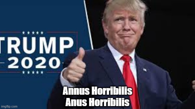  Annus Horribilis
Anus Horribilis | made w/ Imgflip meme maker