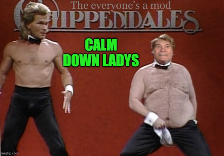 everyone's a mod chippendales | CALM DOWN LADYS | image tagged in snl,kewlew | made w/ Imgflip meme maker