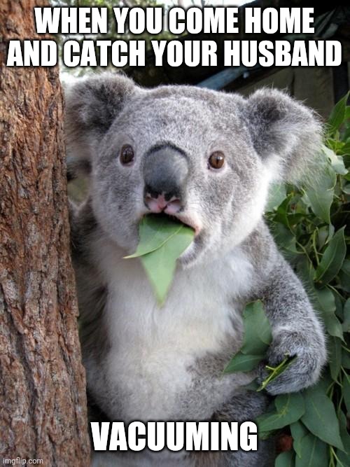 Surpised Wife | WHEN YOU COME HOME AND CATCH YOUR HUSBAND; VACUUMING | image tagged in memes,surprised koala,funny,husband,wife,marriage | made w/ Imgflip meme maker