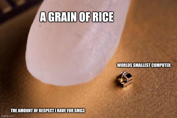 Grain Of Rice | A GRAIN OF RICE; WORLDS SMALLEST COMPUTER; THE AMOUNT OF RESPECT I HAVE FOR SMG3 | image tagged in grain of rice | made w/ Imgflip meme maker