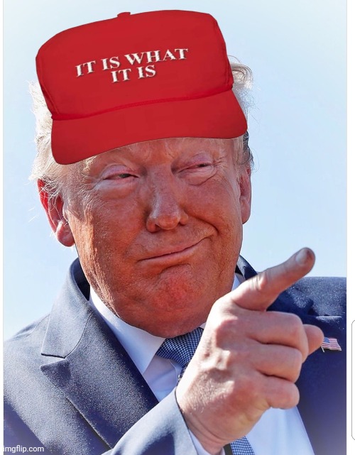 Trump pointing | image tagged in trump pointing | made w/ Imgflip meme maker