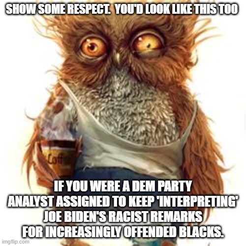 frazzled | SHOW SOME RESPECT.  YOU'D LOOK LIKE THIS TOO; IF YOU WERE A DEM PARTY ANALYST ASSIGNED TO KEEP 'INTERPRETING' JOE BIDEN'S RACIST REMARKS FOR INCREASINGLY OFFENDED BLACKS. | image tagged in frazzled | made w/ Imgflip meme maker