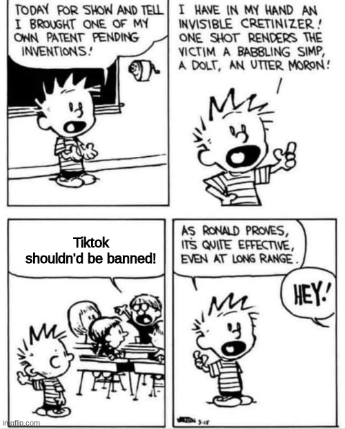 Calvin Invention | Tiktok shouldn'd be banned! | image tagged in calvin invention | made w/ Imgflip meme maker