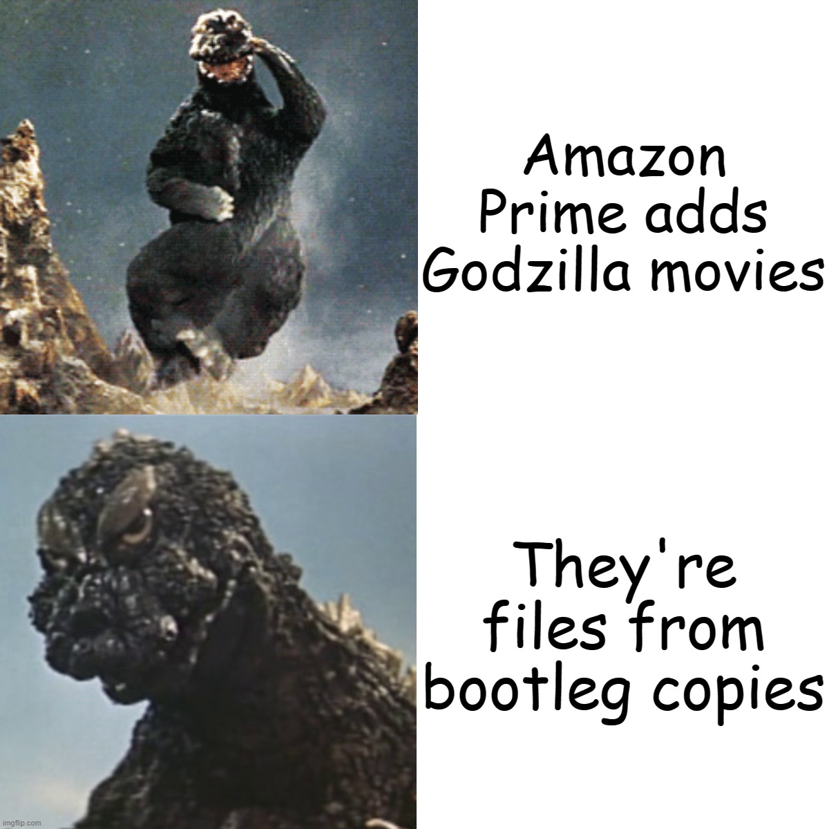 Godzilla Drake meme | Amazon Prime adds Godzilla movies; They're files from bootleg copies | image tagged in godzilla drake meme,godzilla yes no | made w/ Imgflip meme maker