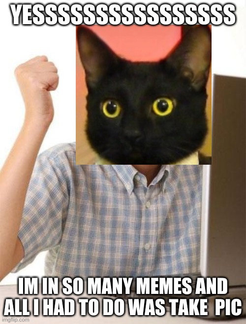CatZ WilL RUle ThE INterNEt AgAiN | YESSSSSSSSSSSSSSSS; IM IN SO MANY MEMES AND ALL I HAD TO DO WAS TAKE  PIC | image tagged in memes,first day on the internet kid | made w/ Imgflip meme maker