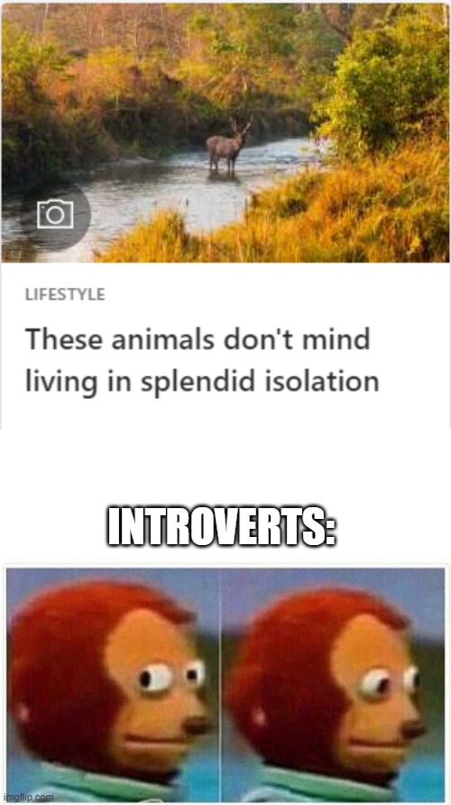 Introvert | INTROVERTS: | image tagged in memes,monkey puppet | made w/ Imgflip meme maker