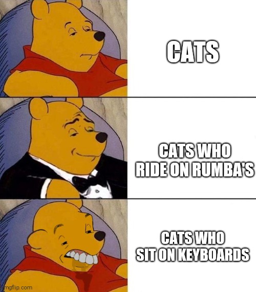 Cats | CATS; CATS WHO RIDE ON RUMBA'S; CATS WHO SIT ON KEYBOARDS | image tagged in best better blurst,cats,funny,memes | made w/ Imgflip meme maker
