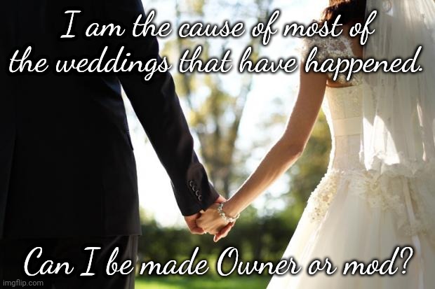 I'm only asking. | I am the cause of most of the weddings that have happened. Can I be made Owner or mod? | image tagged in wedding | made w/ Imgflip meme maker