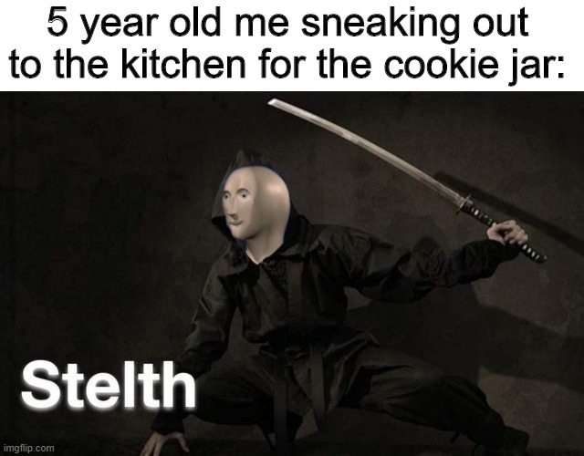 I'll take the cookie from the cookie jar | 5 year old me sneaking out to the kitchen for the cookie jar: | image tagged in stelth,cookies,cookie jar,meme man,memes,funny | made w/ Imgflip meme maker