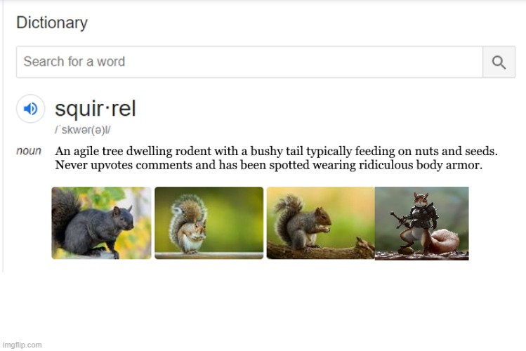 def of squirrel | image tagged in squirrel,kewlew | made w/ Imgflip meme maker