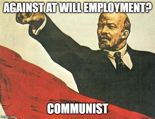 ...you're a communist | AGAINST AT WILL EMPLOYMENT? COMMUNIST | image tagged in you're a communist | made w/ Imgflip meme maker