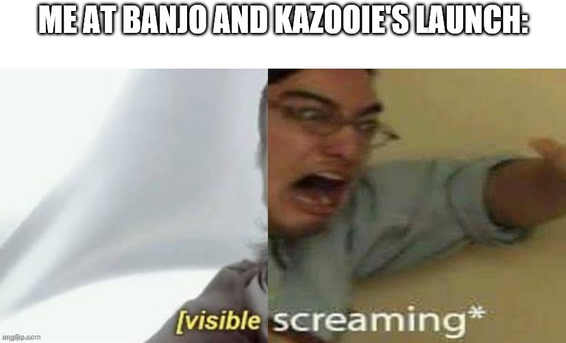 visible screaming | ME AT BANJO AND KAZOOIE'S LAUNCH: | image tagged in visible screaming | made w/ Imgflip meme maker