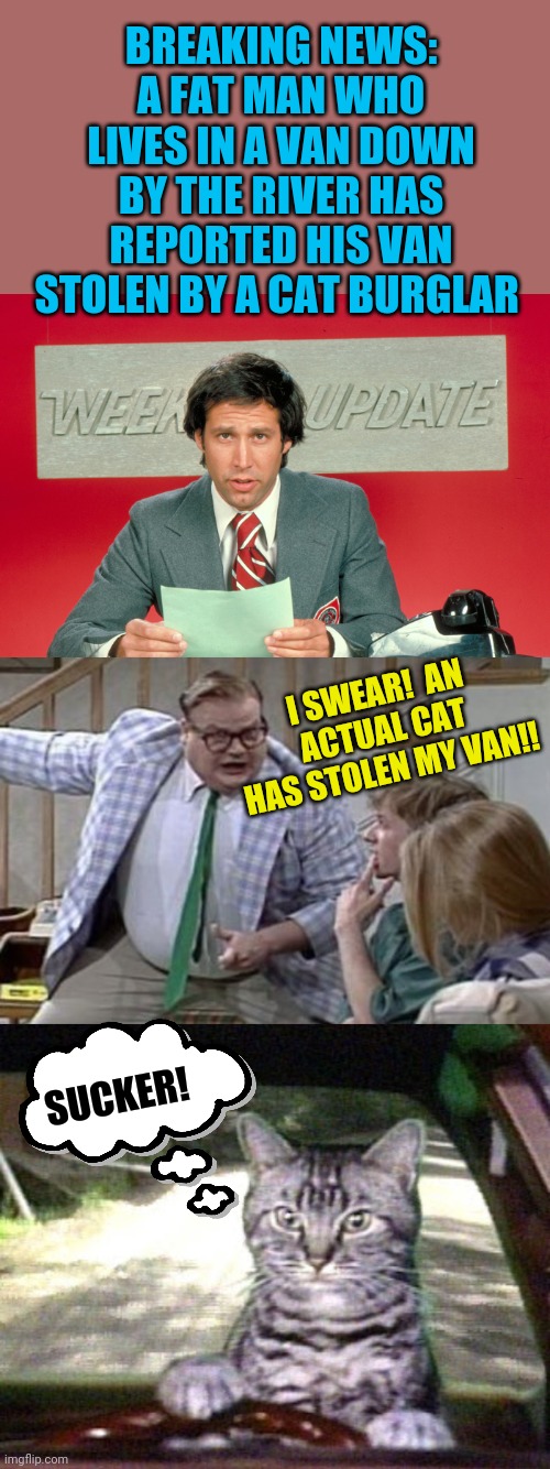 Weekend update with Matt Foley and Toonsis | BREAKING NEWS: A FAT MAN WHO LIVES IN A VAN DOWN BY THE RIVER HAS REPORTED HIS VAN STOLEN BY A CAT BURGLAR; I SWEAR!  AN ACTUAL CAT HAS STOLEN MY VAN!! SUCKER! | image tagged in van down by the river,toonsis the cat that could drive,snl,chevy chase,funny | made w/ Imgflip meme maker