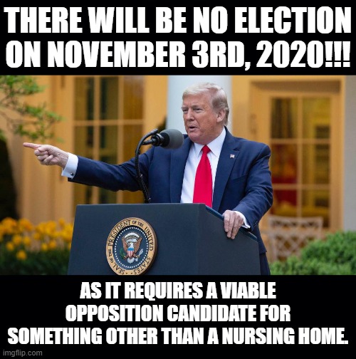 WHEN THE OPPOSITION HAVE CHOSEN THEIR VIABLE PRESIDENTIAL CANDIDATE BUT THEY'RE ONLY QUALIFIED FOR A NURSING HOME.WHAT DO YOU DO | THERE WILL BE NO ELECTION ON NOVEMBER 3RD, 2020!!! AS IT REQUIRES A VIABLE OPPOSITION CANDIDATE FOR SOMETHING OTHER THAN A NURSING HOME. | image tagged in donald trump 2020,joe biden 2020 | made w/ Imgflip meme maker