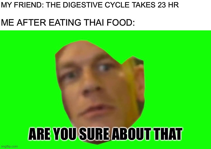 Thai food | MY FRIEND: THE DIGESTIVE CYCLE TAKES 23 HR; ME AFTER EATING THAI FOOD:; ARE YOU SURE ABOUT THAT | image tagged in blank white template,are you sure about that cena,memes | made w/ Imgflip meme maker