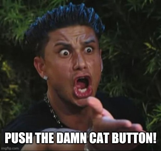 DJ Pauly D Meme | PUSH THE DAMN CAT BUTTON! | image tagged in memes,dj pauly d | made w/ Imgflip meme maker