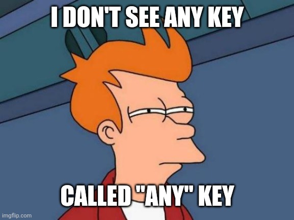 Futurama Fry Meme | I DON'T SEE ANY KEY CALLED "ANY" KEY | image tagged in memes,futurama fry | made w/ Imgflip meme maker