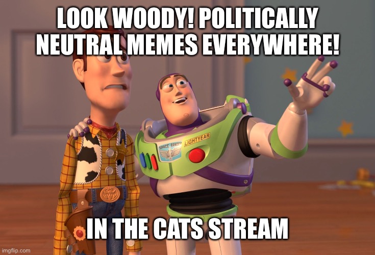 X, X Everywhere Meme | LOOK WOODY! POLITICALLY NEUTRAL MEMES EVERYWHERE! IN THE CATS STREAM | image tagged in memes,x x everywhere | made w/ Imgflip meme maker