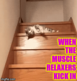 Muscle relaxers - Imgflip