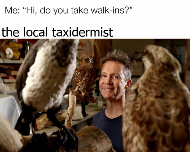 the local taxidermist | image tagged in before | made w/ Imgflip meme maker