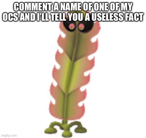 E | COMMENT A NAME OF ONE OF MY OCS AND I’LL TELL YOU A USELESS FACT | image tagged in le kelp boi | made w/ Imgflip meme maker