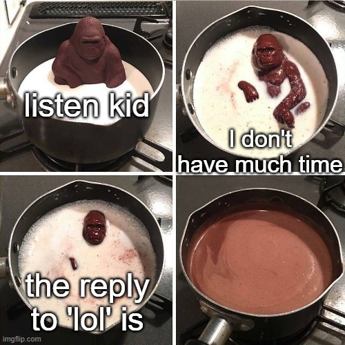there IS no reply to lol. | listen kid; I don't have much time; the reply to 'lol' is | image tagged in chocolate gorilla | made w/ Imgflip meme maker