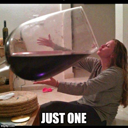 Wine Drinker | JUST ONE | image tagged in wine drinker | made w/ Imgflip meme maker