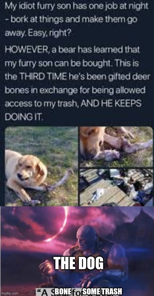 THE DOG; BONE        SOME TRASH | image tagged in a soul for a soul | made w/ Imgflip meme maker