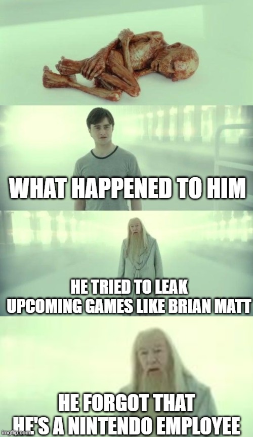 WHAT HAPPENED TO HIM; HE TRIED TO LEAK UPCOMING GAMES LIKE BRIAN MATT; HE FORGOT THAT HE'S A NINTENDO EMPLOYEE | image tagged in dead baby voldemort / what happened to him,what happened to him extended | made w/ Imgflip meme maker