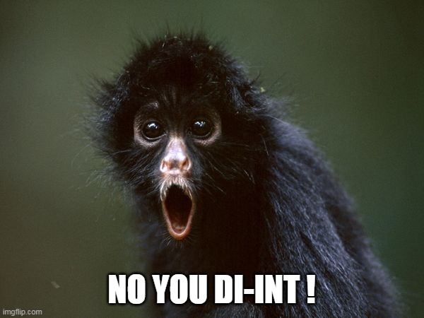 ooooh | NO YOU DI-INT ! | image tagged in ooooh | made w/ Imgflip meme maker