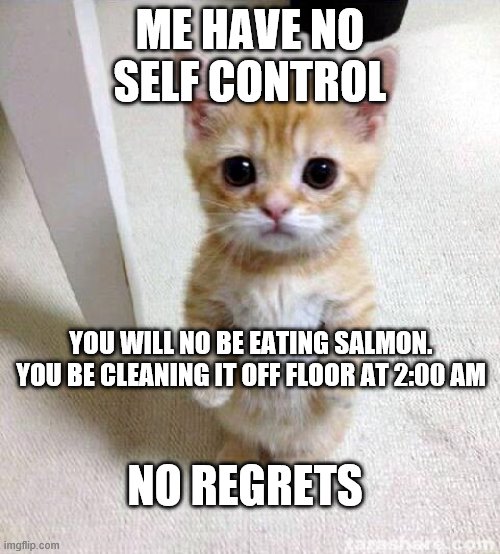 Cute Cat | ME HAVE NO SELF CONTROL; YOU WILL NO BE EATING SALMON. YOU BE CLEANING IT OFF FLOOR AT 2:00 AM; NO REGRETS | image tagged in memes,cute cat | made w/ Imgflip meme maker