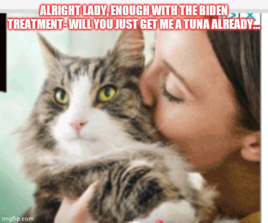 Kitty wants Tuna | ALRIGHT LADY, ENOUGH WITH THE BIDEN TREATMENT- WILL YOU JUST GET ME A TUNA ALREADY... | image tagged in cute cat | made w/ Imgflip meme maker