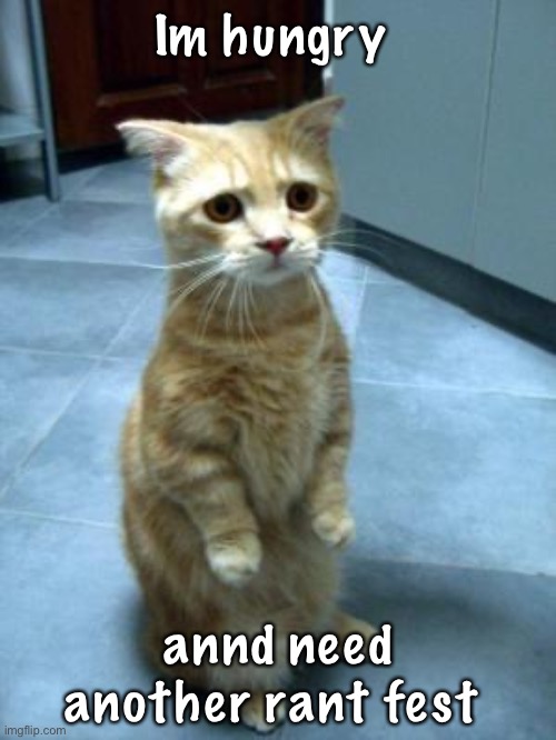 Please? | Im hungry; annd need another rant fest | image tagged in begging cat | made w/ Imgflip meme maker