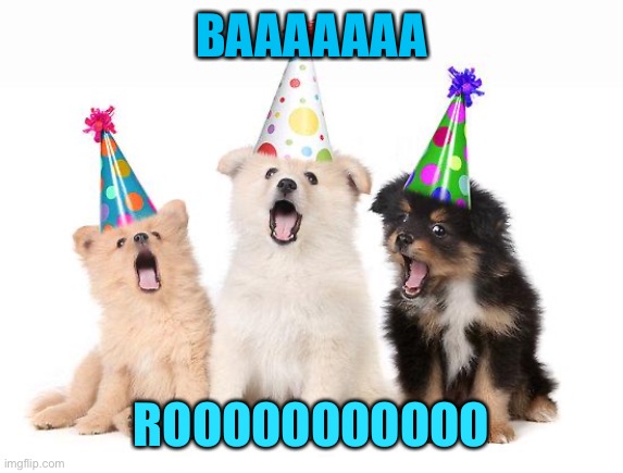 Birthday Puppies cuz why not | BAAAAAAA; ROOOOOOOOOOO | image tagged in happy birthday puppies | made w/ Imgflip meme maker