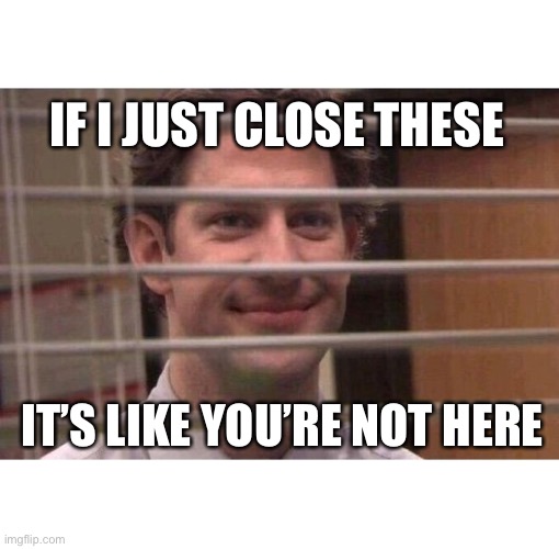 Close the blinds | IF I JUST CLOSE THESE; IT’S LIKE YOU’RE NOT HERE | image tagged in jim office blinds,funny memes | made w/ Imgflip meme maker