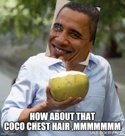 Sexy coco daddy | HOW ABOUT THAT COCO CHEST HAIR ,MMMMMMM | image tagged in obama coconut | made w/ Imgflip meme maker