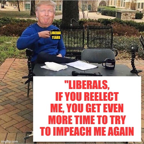 Mail in voting | "LIBERALS, IF YOU REELECT ME, YOU GET EVEN MORE TIME TO TRY TO IMPEACH ME AGAIN | image tagged in mail in voting | made w/ Imgflip meme maker