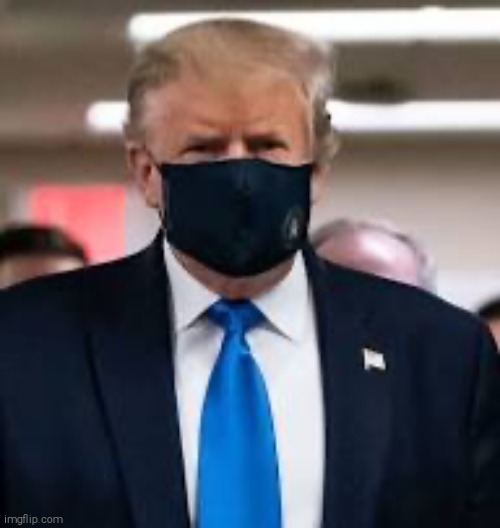 Trump Mask | image tagged in trump mask | made w/ Imgflip meme maker