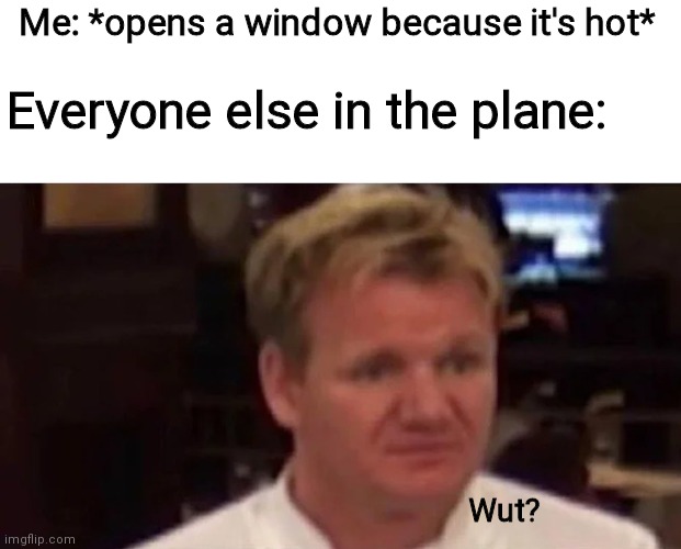 P.S. if you open a window in an airplane all the pressure will go down and everyone will die | Me: *opens a window because it's hot*; Everyone else in the plane:; Wut? | image tagged in disgusted gordon ramsay | made w/ Imgflip meme maker