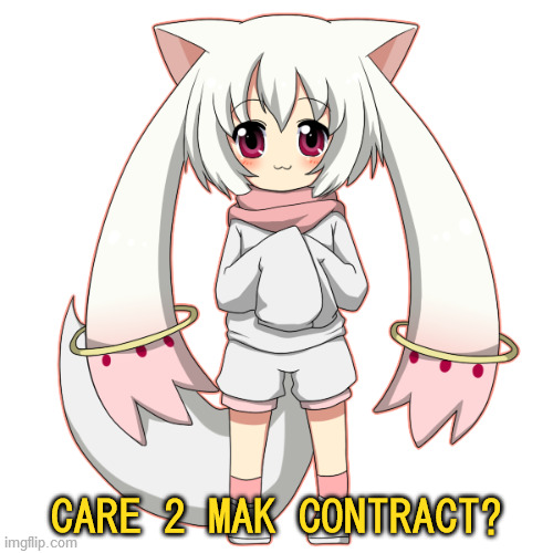 CARE 2 MAK CONTRACT? | image tagged in kyubey,puella magi madoka magica,personification,little boy,contract,lolcats | made w/ Imgflip meme maker